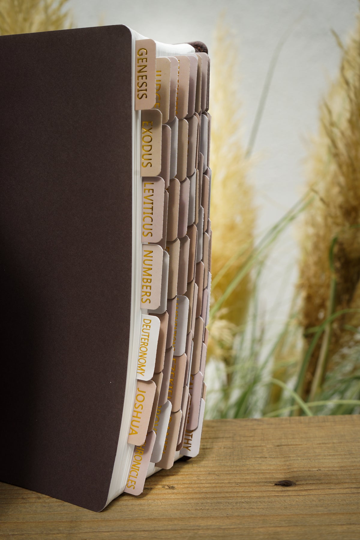 Bibelregister Taupe